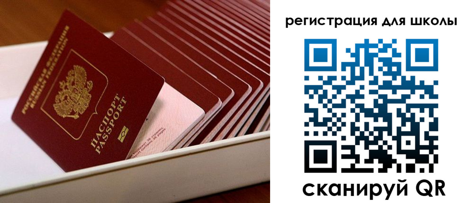 прописка гарантия в Камызяке